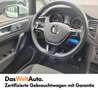 Volkswagen Golf Sportsvan Austria TDI Bianco - thumbnail 12
