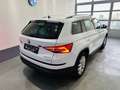Skoda Kodiaq 2,0 TDI SCR 4x4 Ambition DSG - thumbnail 8
