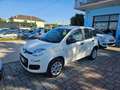 Fiat Panda 0.9 TwinAir Turbo Natural Power Easy Blanc - thumbnail 1