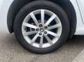 Skoda Scala BUSINESS BVA 110CV Weiß - thumbnail 23