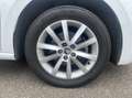 Skoda Scala BUSINESS BVA 110CV Weiß - thumbnail 24