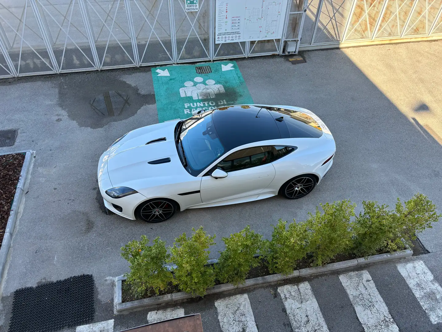 Jaguar F-Type Coupe 2.0 i4 Chequered Flag rwd 300cv auto Blanc - 1
