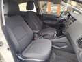 Kia Rio Rio 1.1 CRDi 75CV DIESEL PERFETTA Blanc - thumbnail 17