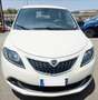 Lancia Ypsilon 1.0 FireFly 5 porte S&S Hybrid Ecochic A. Ferretti Bianco - thumbnail 3
