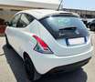 Lancia Ypsilon 1.0 FireFly 5 porte S&S Hybrid Ecochic A. Ferretti Bianco - thumbnail 5