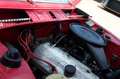 BMW 2002 BAUER CABRIO Rojo - thumbnail 11