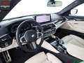 BMW 530 530 i xDrive M SPORT SHADOW STANDHEIZ,HUD,KAMERA Gris - thumbnail 9