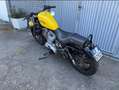 Harley-Davidson Sportster XL 883 Sportster XL 883 žuta - thumbnail 2