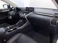 Lexus NX 300 h 2.5 Executive 4wd cvt - thumbnail 9