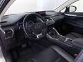 Lexus NX 300 h 2.5 Executive 4wd cvt - thumbnail 8