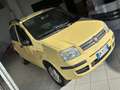 Fiat Panda Panda II 2003 1.2 natural power Dynamic Beige - thumbnail 4