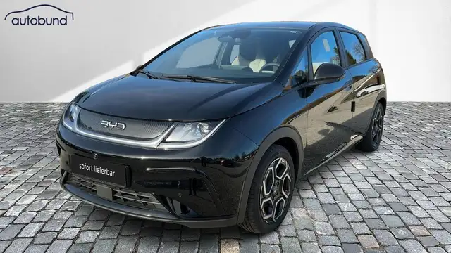 BYD Dolphin Design Wärmepumpe Alu KA LED Link NBA PDC RFK SHA