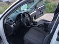 SEAT Exeo ST 2.0TDI CR Style Blanco - thumbnail 7