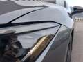 Volkswagen Passat Variant Sport TDI 4MOTION DSG Grau - thumbnail 19
