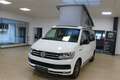 Volkswagen T6 California California Beach Edition 4Motion 150PS DSG Weiß - thumbnail 10