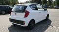 Kia Picanto Dream Team MFL/2 Vorbesitzer/Alufelgen Weiß - thumbnail 5