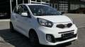 Kia Picanto Dream Team MFL/2 Vorbesitzer/Alufelgen Weiß - thumbnail 7