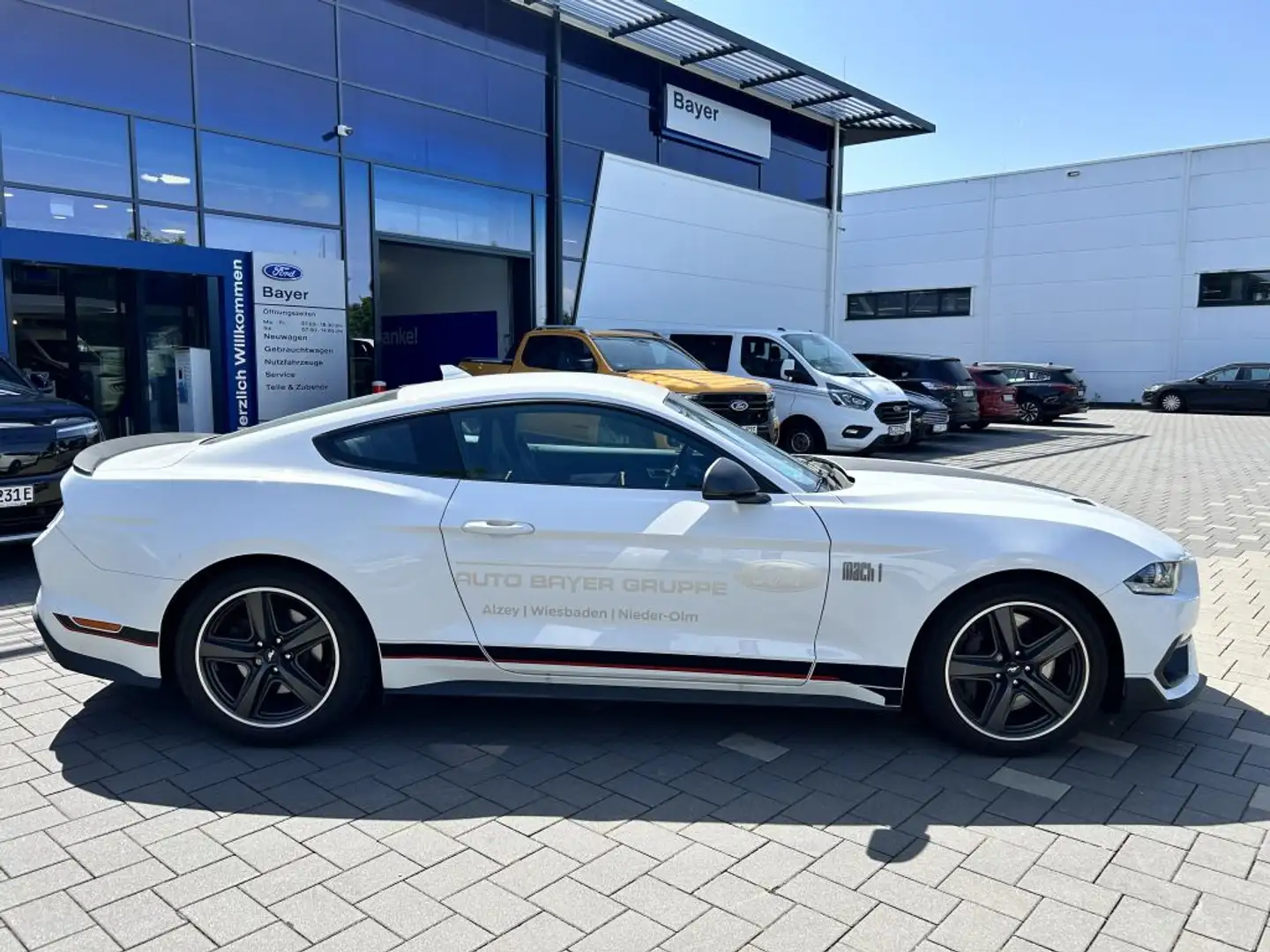 Ford Mustang Fastback 5.0 Ti-VCT V8 MACH1 Weiß - 2
