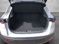 Mazda CX-30 e-Skyactive G140 Homura Weiß - thumbnail 10