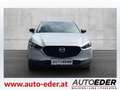 Mazda CX-30 e-Skyactive G140 Homura Weiß - thumbnail 2