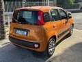 Fiat Panda Panda III 2016 1.2 Easy s Oranje - thumbnail 5