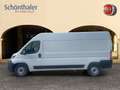 Fiat Ducato Ducato 35+ L3H2 BlueHDi 140 S&S - thumbnail 3