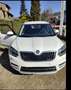 Skoda Yeti Yeti 1.6 tdi Elegance GreenLine bijela - thumbnail 5