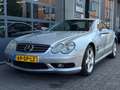 Mercedes-Benz SL 500 AMG Styling Grijs - thumbnail 20