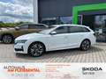 Skoda Octavia Octavia KB 2.0 TDI Ultimate Leder*HeadUp*Panorama Weiß - thumbnail 1
