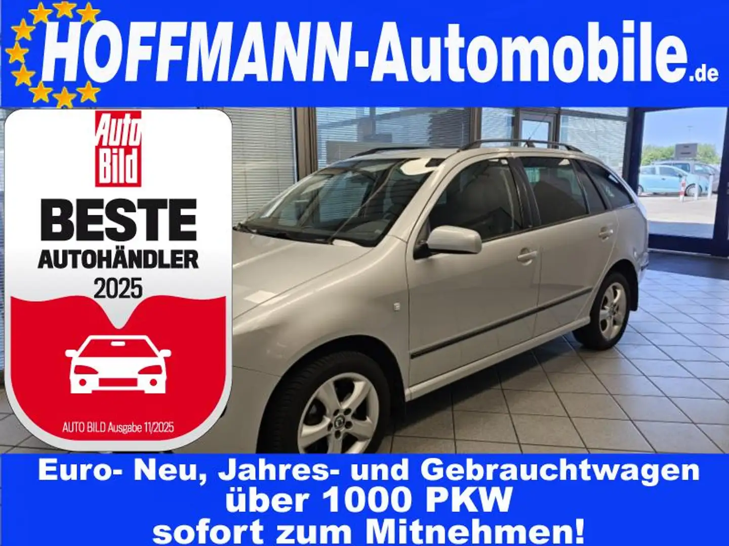 Skoda Fabia ohne Tüv Argent - 1
