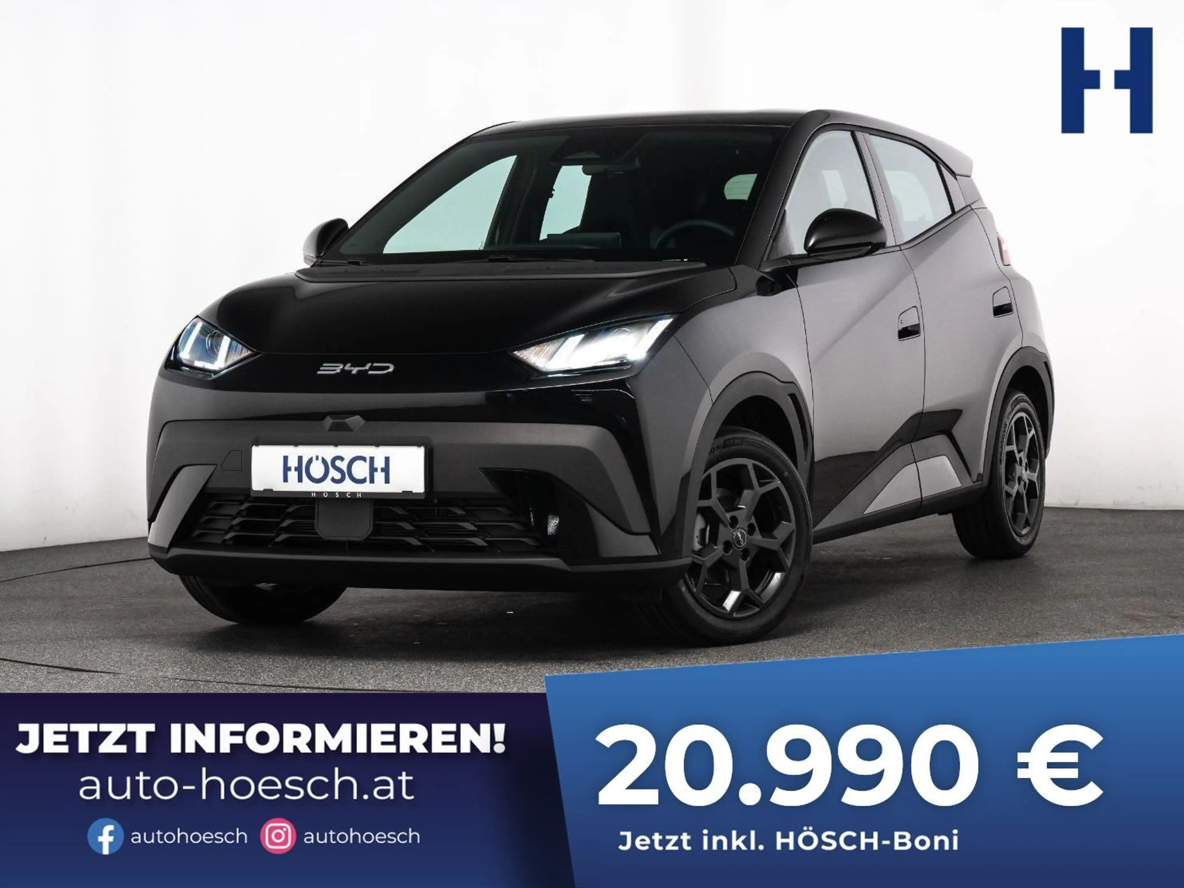 BYD Dolphin Surf BOOST 43 kWh LEDER KAMERA AKTION JETZT SICHERN