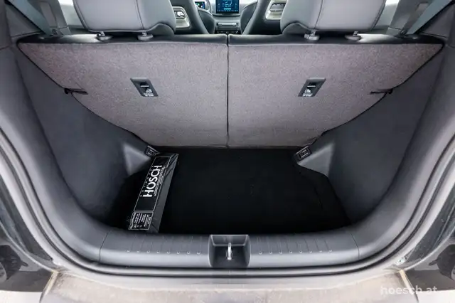 BYD Dolphin Surf view 8