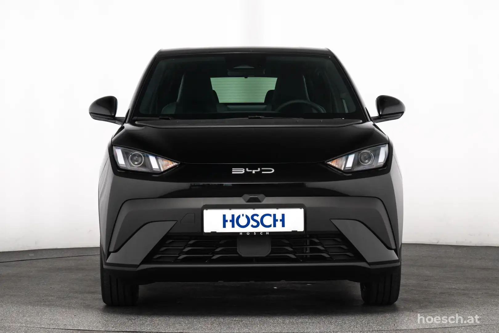 BYD Dolphin Surf BOOST 43 kWh LEDER KAMERA AKTION JETZT SICHERN Schwarz - 2