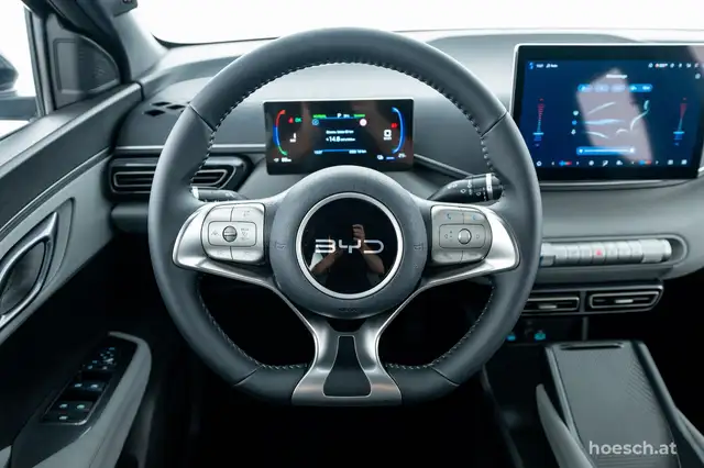 BYD Dolphin Surf view 6