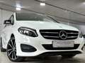 Mercedes-Benz B 180 Style*DCT 7Gang*LED*GRA*MFL*AHK*Pano*Night-Paket* Weiß - thumbnail 7