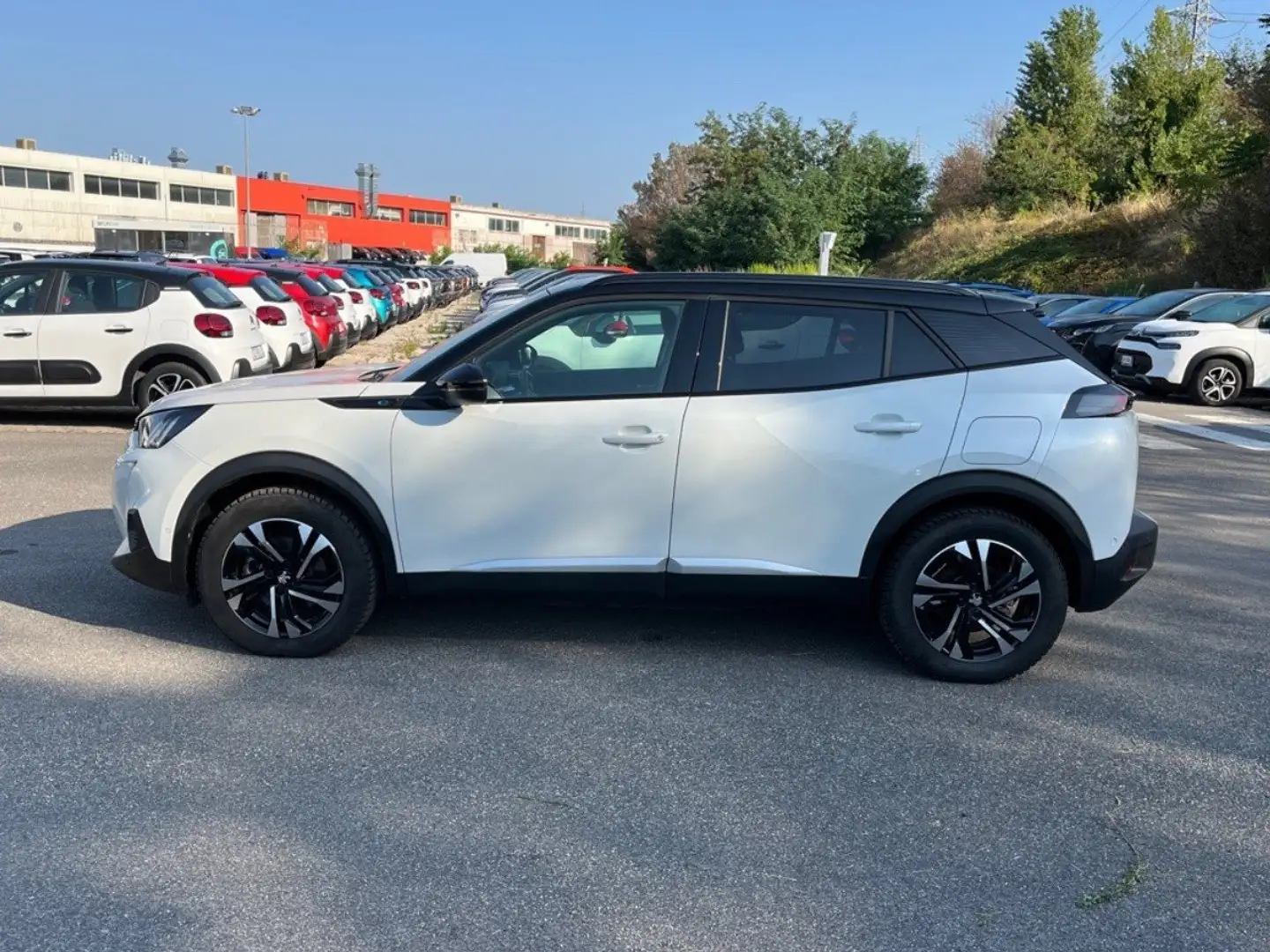 Peugeot 2008 e 100kW GT Bianco - 2