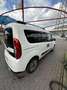 Fiat Doblo 1.6 mjt 16v Trekking 120cv - thumbnail 3