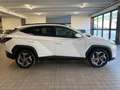 Hyundai TUCSON Tucson 1.6 hev Exellence 2wd auto Bianco - thumbnail 4