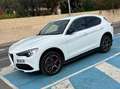 Alfa Romeo Stelvio Stelvio 2.0 Executive AWD Aut. 280 Executive Blanco - thumbnail 1