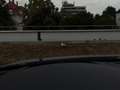 Audi S4 Avant 3.0TFSI 2.HD AHK ACC LED NAVI KAM EHECK Blau - thumbnail 18