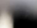 Skoda Octavia Combi 2.0 TDI Ambition LED+DIGITAL-TACHO - thumbnail 22