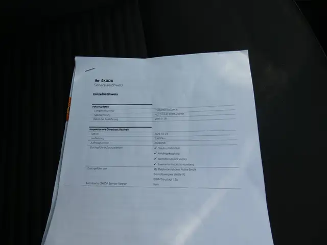 Skoda Octavia view 12