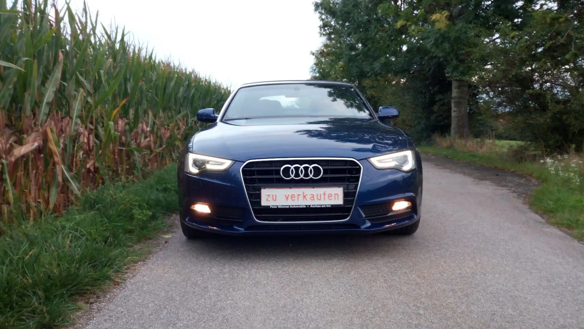 Audi A5 Cabriolet 1.8 TFSI Blau - 2