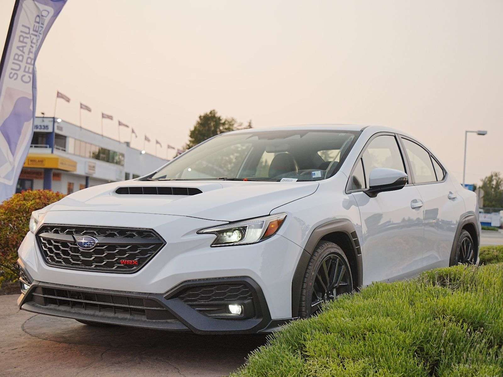 2026 Subaru WRX