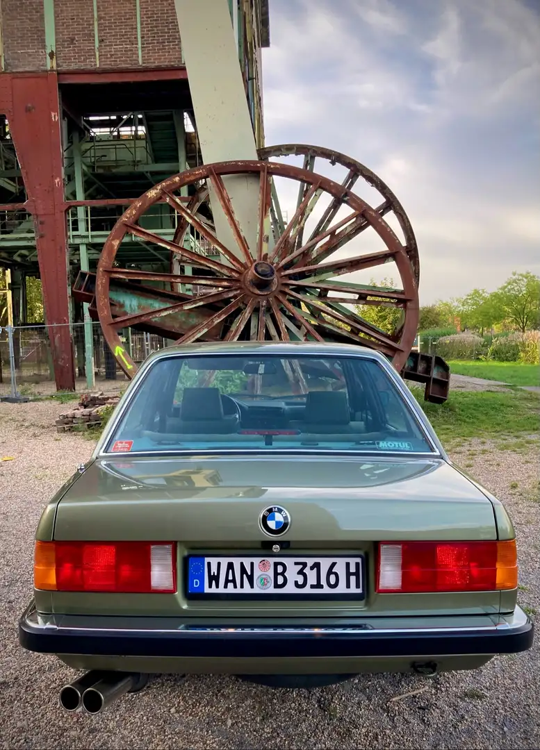 BMW 316 Green - 1