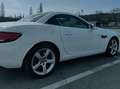 Mercedes-Benz SLC 180 SLC - R172 2016 Sport Fehér - thumbnail 5