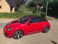 Volkswagen Beetle 1.4 TSI Sport Rood - thumbnail 1