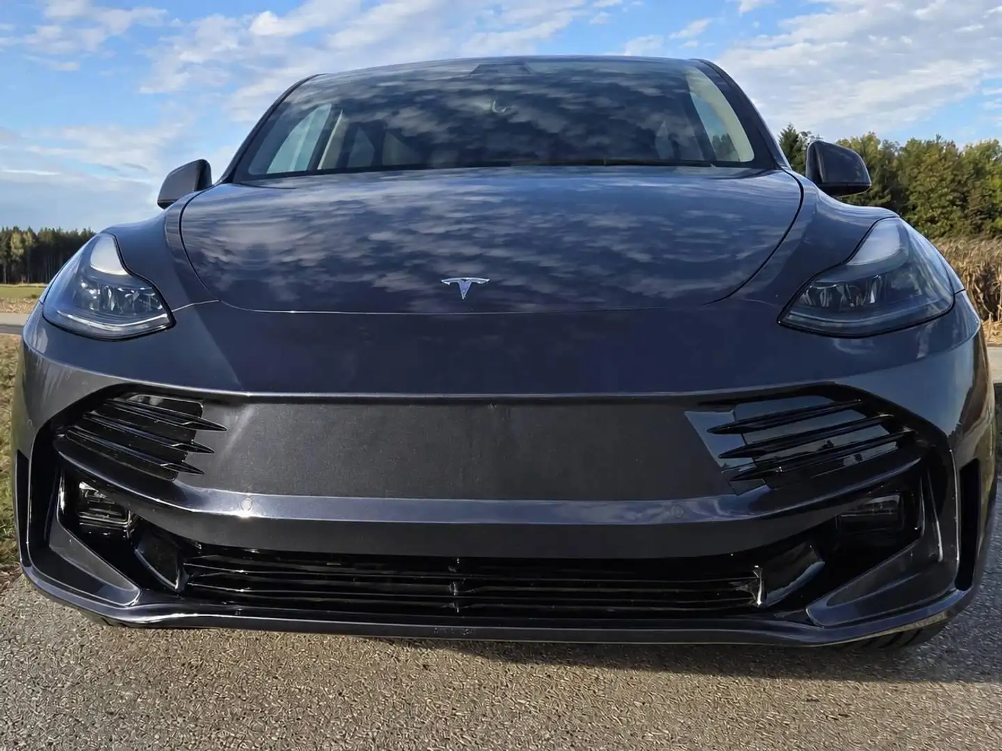 Tesla Model Y Model Y Long Range AWD 75kWh Grau - 1