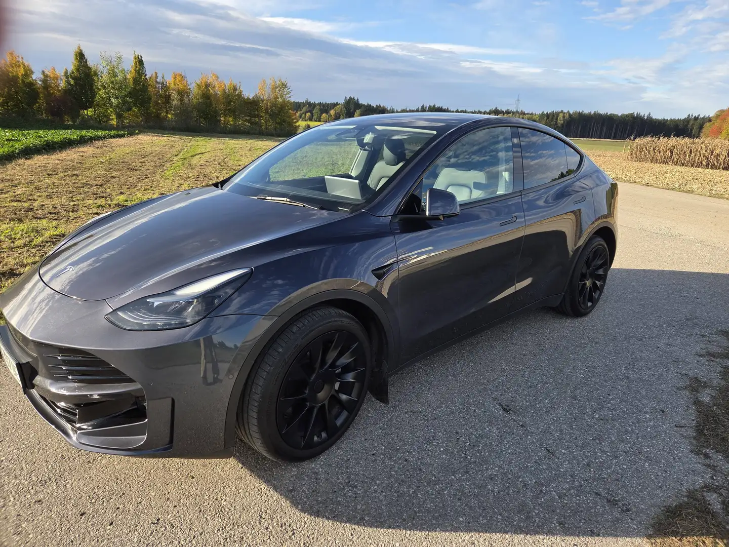 Tesla Model Y Model Y Long Range AWD 75kWh Grau - 2