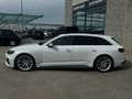 Audi RS4 Avant 2.9 tfsi Quattro Kit Dynamic\Carboceramici Blanco - thumbnail 6